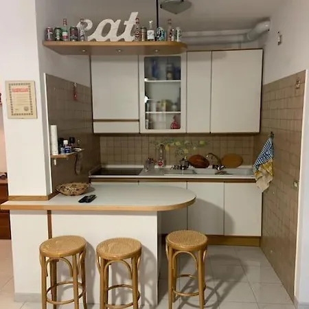 Zona Con Barbecue Apartment